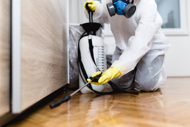 Best Insect Control  in Fruit Cove, FL