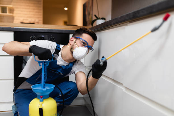 Best Pest Removal Services  in Fruit Cove, FL