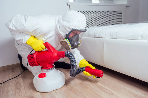 Best Flea Control Services  in Fruit Cove, FL