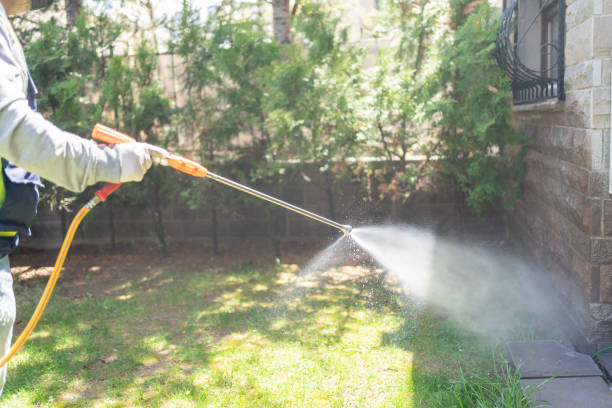 Pest Control for Restaurants in Fruit Cove, FL