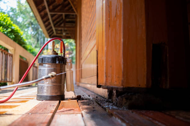 Best Termite Control Services  in Fruit Cove, FL