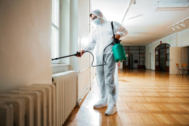 Best Mosquito Control Services  in Fruit Cove, FL